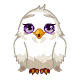 ͼƬ´ڴ򿪲鿴